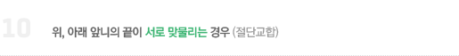 10. 위, 아래 앞니의 끝이 서로 맞물리는 경우 (절단교합)